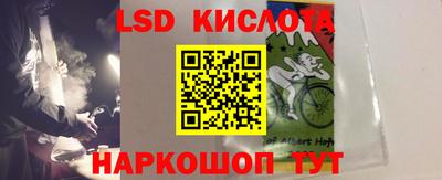 дмт Гусев
