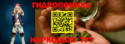 метадон Гусь-Хрустальный