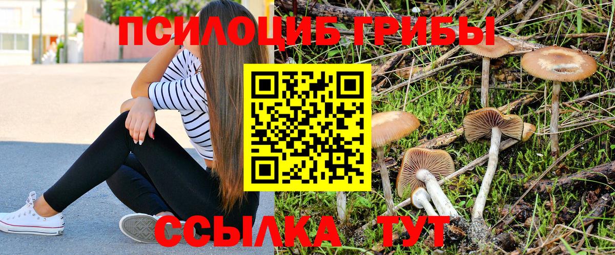 Псилоцибиновые грибы мицелий Шадринск
