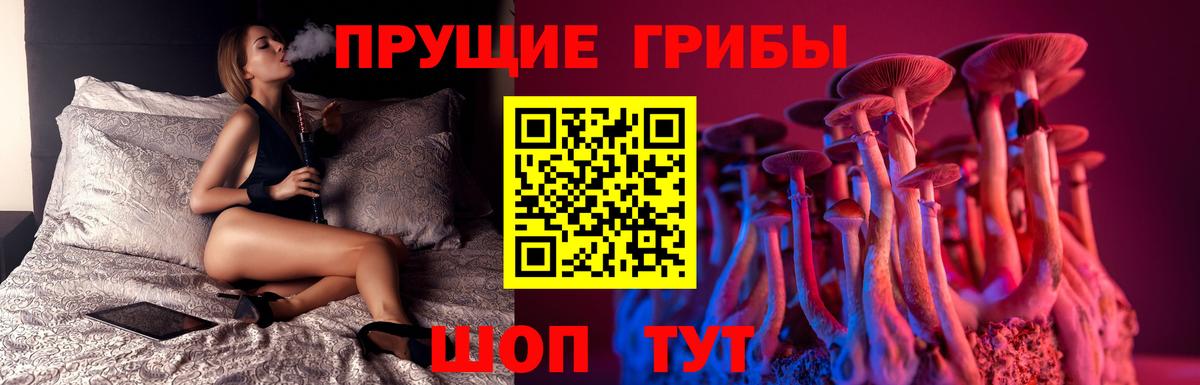 Псилоцибиновые грибы Magic Shrooms  Вход с VPN  Шадринск  хочу наркоту  Галлюциногенные грибы мицелий 